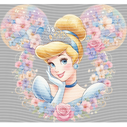 Princess-PR 1980